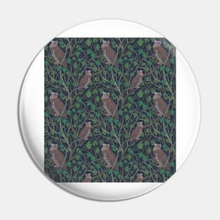 Wise brown owls sits on tree branches Pin