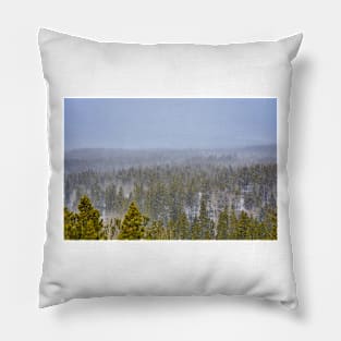 Peak to Peak Highway Snowstorm Study 1 Pillow