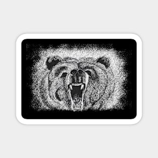 Grizzly Bear Magnet