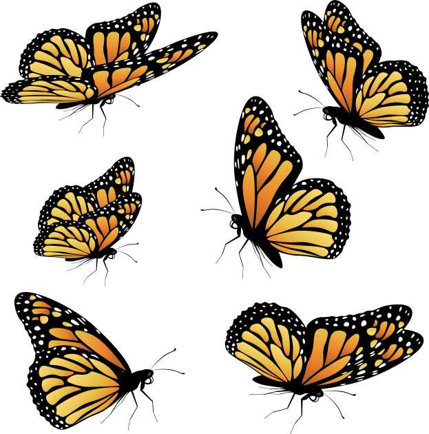 Monarch butterflies Kids T-Shirt by AnnArtshock