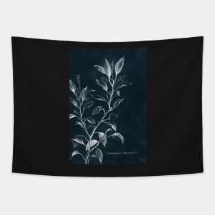 Cyanotype - Camphora Officinalis - C Tapestry