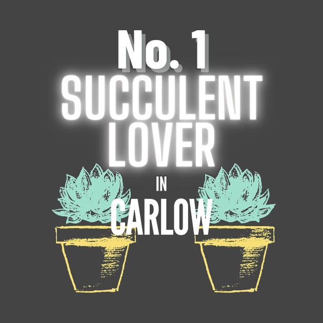 The No.1 Succulent Lover In Carlow by The Bralton Company