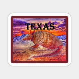 Texas armadillo Magnet