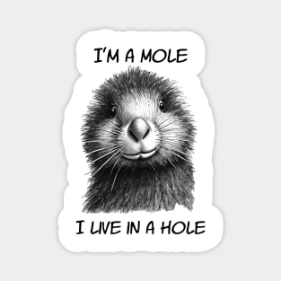 Mole In A Hole Magnet