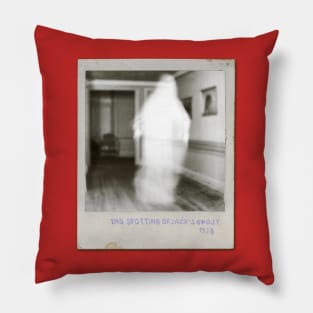 Old Ghost Caught on Film | Secret Vintage Polaroid Ghost captured | Rare Scary Classic Retro Portrait  | Jack Pillow