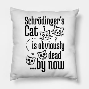 Schrödinger's Cat Humor Pillow