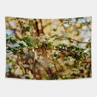 SCENERY 36 - Plant Blooming Flower Branch Tree Tapestry