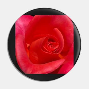 Unfurling Rose Pin