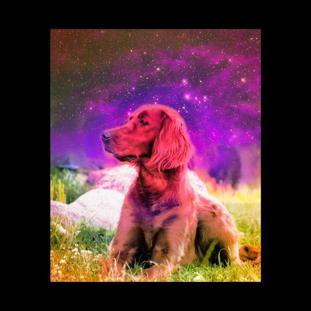 Cute Irish Setter Dog In Space by Random Galaxy