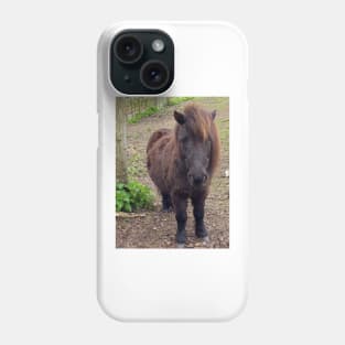 Shetland Pony Phone Case