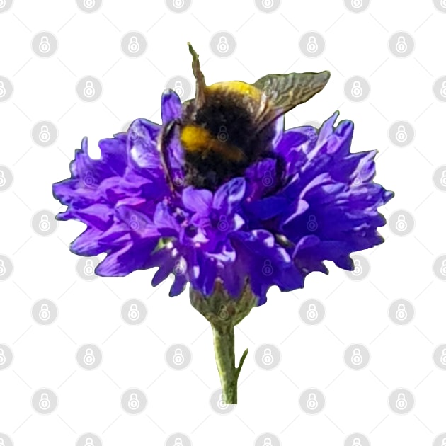 Bumblebee on a Flower by ellenhenryart