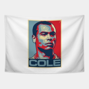 Cole Tapestry