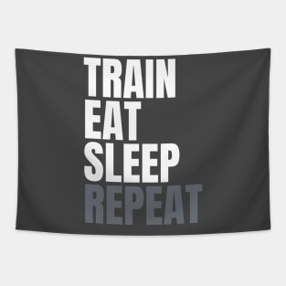 Train, eat, sleep, repeat Tapestry