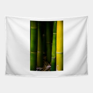 Bamboo Tapestry