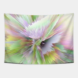 Explosion of colors Tapestry