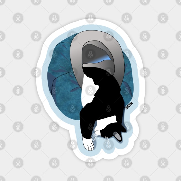 Cute Tuxedo cat in in his Igloo Copyright TeAnne Magnet by TeAnne