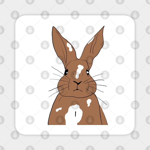 white fawn brown rabbit Magnet by Noamdelf06