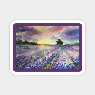 Lavender fields. Magnet