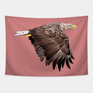 White Tailed Eagle Tapestry