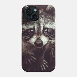 Reclusive Raccoon Photograph Phone Case