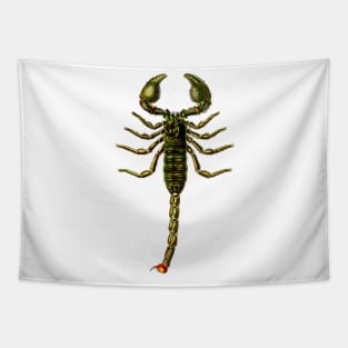 Scorpion Tapestry