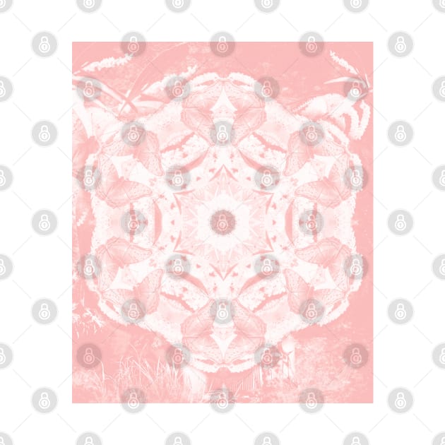 Kaleidoscope of butterflies in rose quartz by hereswendy