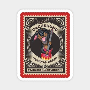 Funny dachshund doxie with guitar in golden circle Magnet