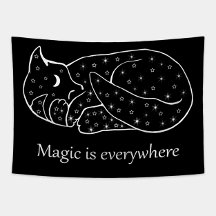 Magic Is Everywhere Moon And Stars Cat Tapestry