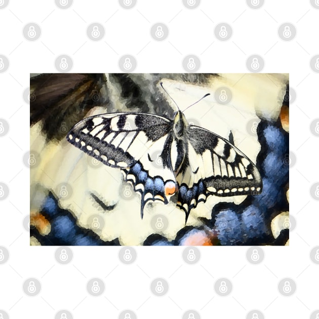 Butterfly Swallowtail / Swiss Artwork Photography by RaphaelWolf