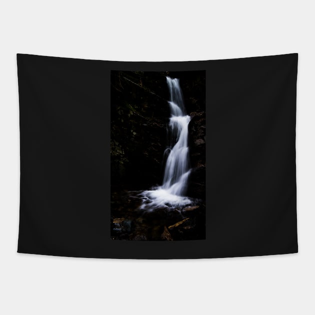 Dunney Beck Tapestry by jldunbar