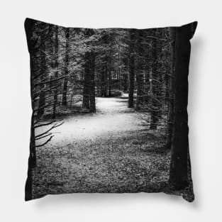 Photo of Mysterious Forest Trail Covered with Snow V1 Pillow