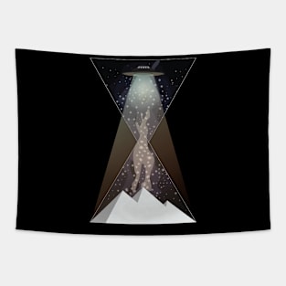 Ufo Pyramids of Time v1 Tapestry