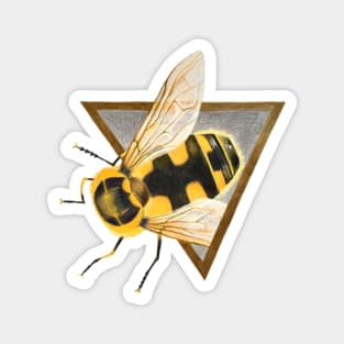 Golden Bee Magnet