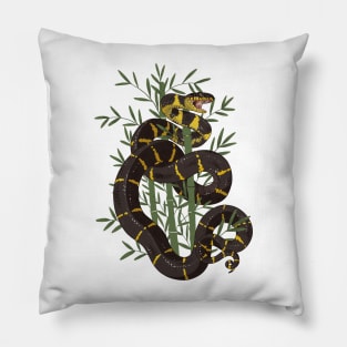 Mangrove Snake with Bamboo Pillow