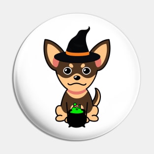 Cute small dog is a witch Pin