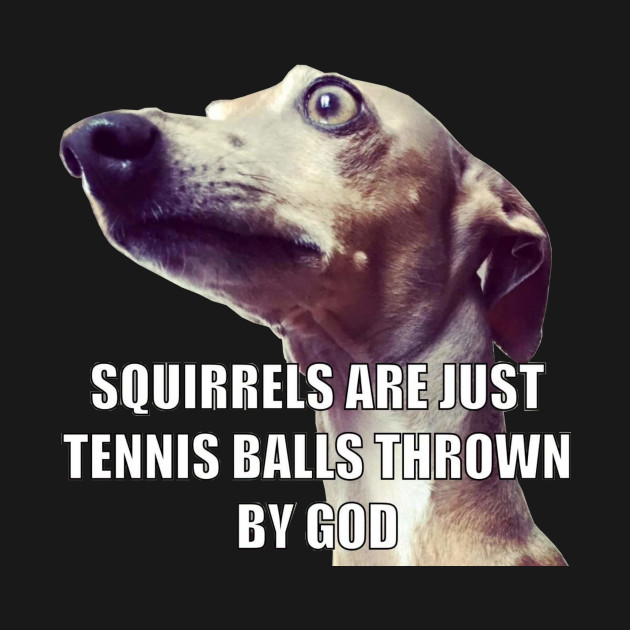 Disover Squirrels are Just Tennis Balls Thrown by God - Whippet - T-Shirt