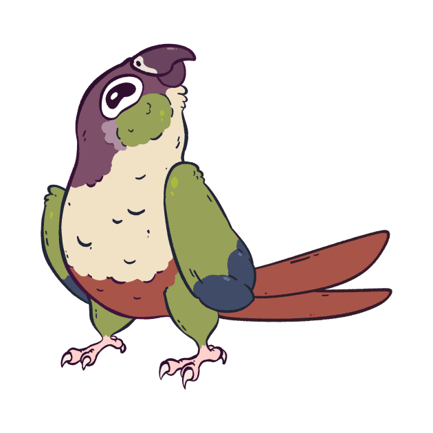 Green Cheek Conure by BirdPresident