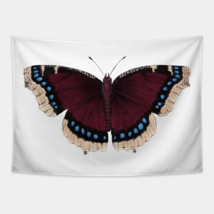 Mourning Cloak Tapestry