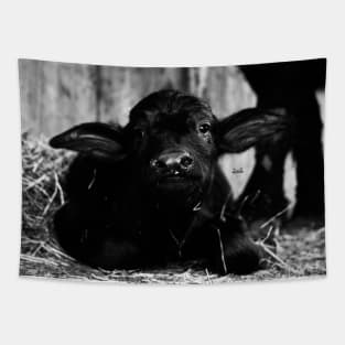 Water buffalo calf / Swiss Artwork Photography Tapestry