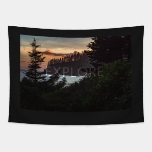 Explore; Pacific Northwest Beach Sunset Tapestry