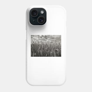 Dramatic Landscape Photography - Wheatfield in France Phone Case