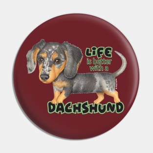 Cute doxie dog walking with attitude on Dappled Dachshund Walking Pin