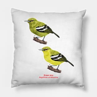 Green iora | Aegithina viridissima ⚥ Pillow