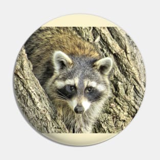 North American Raccoon No.1 Pin