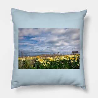 Springtime at Seaton Sluice Pillow