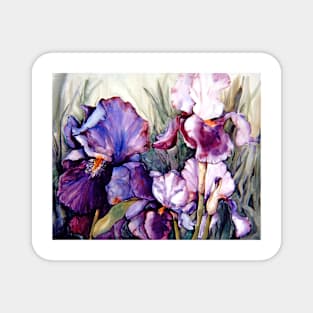 Purple Iris Art Garden Magnet