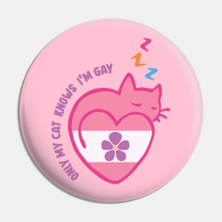 only my cat knows im gay Pin