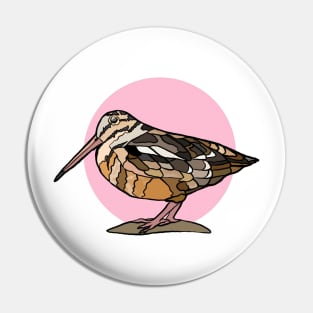 American Woodcock on Pink Pin