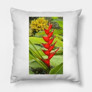 An Exotic Heliconia Pillow