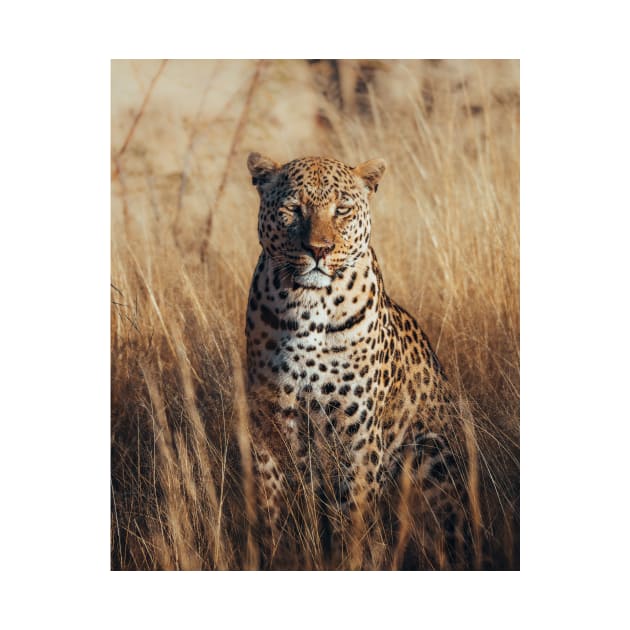 African Leopard by withluke